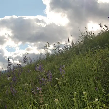 Tanja - Dein Wohlfuehlhaus In