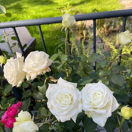 Tanja - Dein Wohlfuehlhaus In Kappl (Landeck)